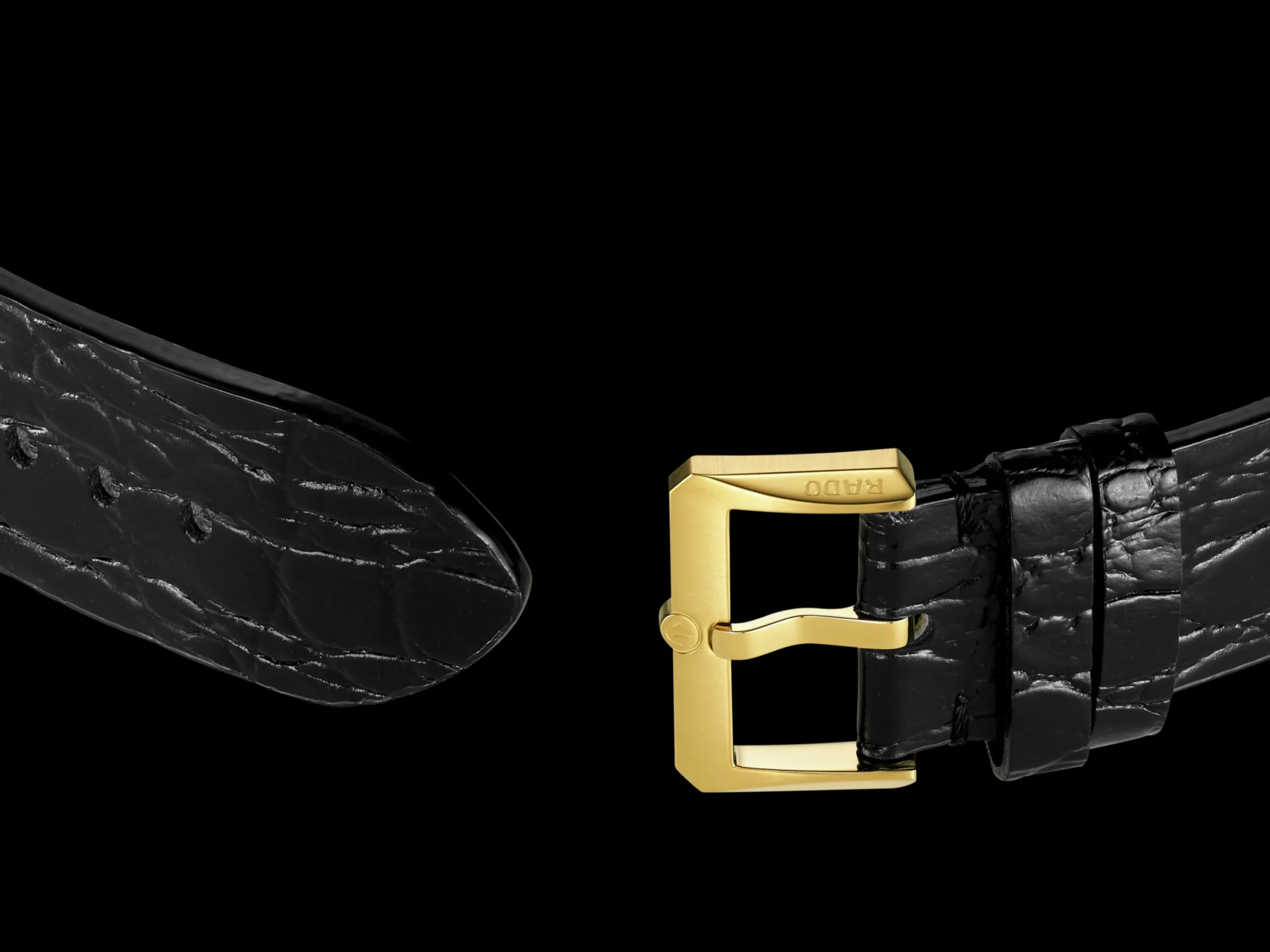 Women Rado Captain Cook x Marina Hoermanseder Heartbeat